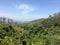 Panaromic view mountaun in Galboda estate Nawalapitiya Sri Lanka