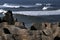 The Pancake Rocks