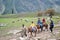 Panchchuli Himalaya, Munsiyari Uttarakhand India October 2018 - Taking a horseback riding in the Himalayan meadows with majestic