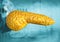 Pancreas, human body organ isolated on scientific background