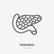 Pancreas line icon, vector pictogram of human internal organ. Anatomy illustration, sign for medical clinic