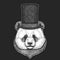 Panda, bamboo bear. Top hat, cylinder. Hipster animal, gentleman. Classic headdress. Print for children t-shirt, kids