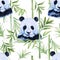 Panda, bamboo seamless pattern. Isolated. Tropical watercolor