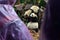 Panda bear: arguably the icon of Chengdu, or even Sichuan Province. Though considered as carnivore, it eats mostly bamboo (over 9