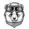 Panda bear, bamboo bear wearing leather helmet Aviator, biker, motorcycle Hand drawn illustration for tattoo, emblem