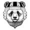 Panda bear Cool animal wearing rugby helmet Extreme sport game