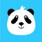 Panda bear cute funny cartoon happy cozy relaxed