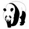 Panda bear illustration