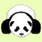 Panda bear lying face realistic