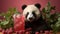 Panda with cold lemonade. Close-up of bamboo bear drinking mojito and iced tea, creative businessman animal