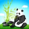 Panda eating Bamboo