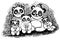 Panda family, five pandas coloring page