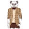 Panda - hipster wearing a jacket. Vector illustration.