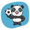 Panda Holds Soccer Ball