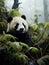 panda in its natural habitat, surrounded by the lush beauty of bamboo forests in China.