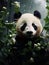 panda in its natural habitat, surrounded by the lush beauty of bamboo forests in China.