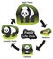Panda Life Cycle Infographic Diagram
