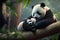Panda Love: A Bond Between Mother and Child. Generative Ai