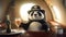 Panda In Private Jet With Champagne