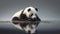 Panda reflecting in murky lake