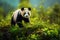 Panda resting on eucalyptus branch in bamboo forest, capturing serene wildlife moment