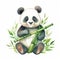 Panda in Serene Harmony Bamboo Haven Playful Sublimation Watercolor Clipart