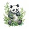 Panda in Serene Harmony Bamboo Haven Playful Sublimation Watercolor Clipart