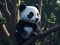 Panda sits on a tree branch in a forest