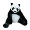 Panda. Soft toy isolated on white with clipping path