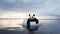 Panda In Water: A Serene Beach Portrait By David Burdeny