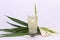 Pandan juice with lemongrass white backdrop