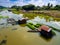 Pandan plant floating farm in plant floating on a river