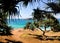 Pandanus Tree Point Cook Island