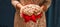 Panettone Italian Christmas food, festive dessert sweet bread copy space background.