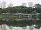 Pang Sua Pond at Bukit Panjang, Singapore