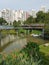 Pang Sua Pond in Bukit Panjang, Singapore