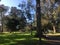 The Panhandle, Golden Gate Park, sidewalk light.