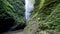 Panning of Beautiful Madakaripura waterfall in tropical rainforest in national park at East Java, Indonesia