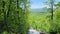 panning footage of a gorgeous spring landscape with lush green trees and plants and a flowing waterfall with large rocks