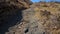 Panning on Joubert's Pass near Marienfluss Namibia, Africa.