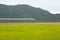 Panning of JR Tokaido Shinkansen train running in Shiga prefecture