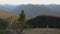 panning left to right over the olympics from hurricane ridge