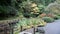 Panning Movie of Wooden Walkway Bridge over Koi Fish Pond with Deciduous Trees and Evergreen in Portland Japanese Garden in Autumn