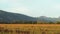 Panning panorama of Western Tatras Zapadne Tatry, Liptov region, mount Krivan peak Slovak symbol at the end, green meadow in