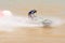 Panning short of jet ski for motion blur action.Thailand Jet ski pro tour #3, Udonthani, Thailand - May 26, 2019. :Unidentified