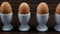 Panning shot across a row of boiled eggs in egg cups in white egg cups to a single egg in a striped eggcup with a smiling