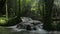 Panning shot of beautiful cascade flowing among lush foliage plants under sunlight in tropical forest.