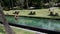 A panning shot of a happy couple having fun in a swimming pool. Couple of sunbeds are seen alongside the pool