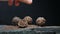 Panning shot of male hand pouring cocoa powder on group chocolate sweet candy, bonbons laying on stone with black background