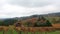 Panning video of vineyards in Dundee Oregon during colorful fall season 1080p HD